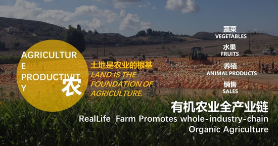 1611042627491850.png image.png