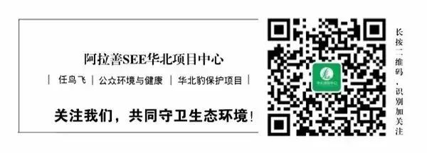 1706075500246807.jpg 640 (1).jpg